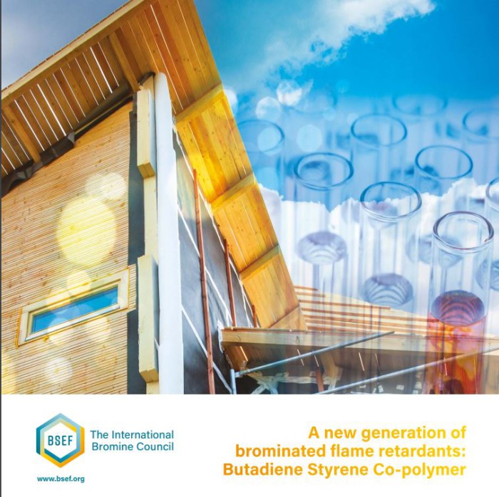 New Study Demonstrates Safe Use of Brominated Polymeric Flame Retardant BSEF