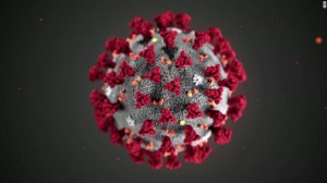 200130165125-corona-virus-cdc-image-exlarge-tease